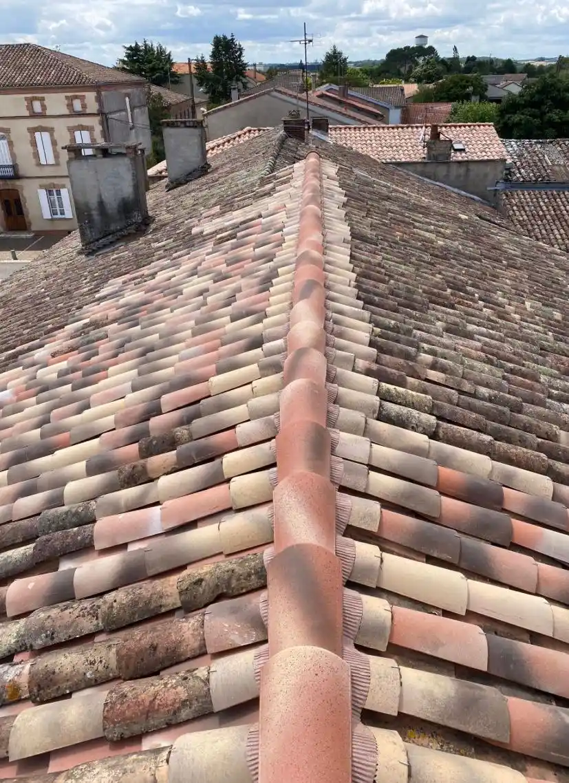 Reprise faitage et réparation tuiles cassées