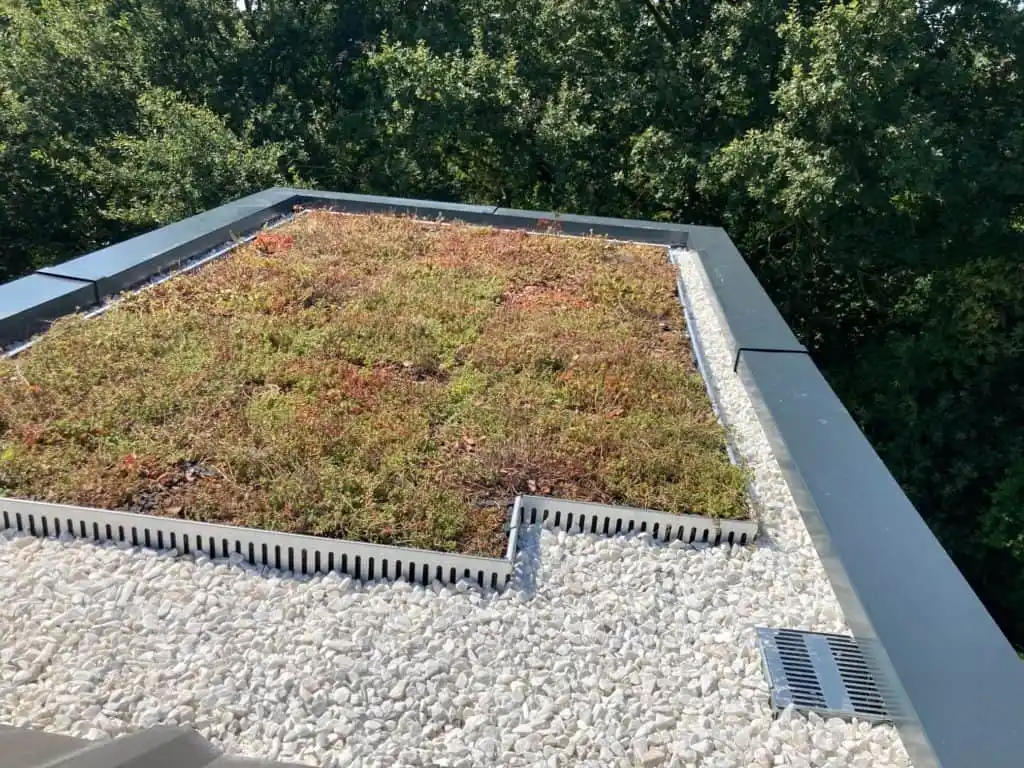 Toiture végétalisée